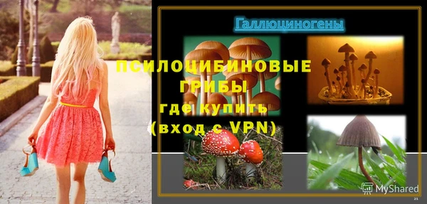 mdpv Армянск