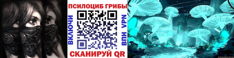 Галлюциногенные грибы Psilocybine cubensis Лаишево