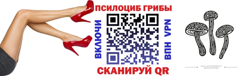 площадка как зайти Лаишево Галлюциногенные грибы мицелий hydra как войти